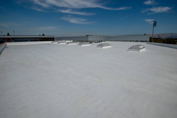 Best Roof Moss and Algae Removal  in Mechanicville, NY