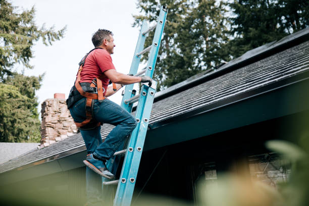 Best Chimney Flashing Repair  in Mechanicville, NY